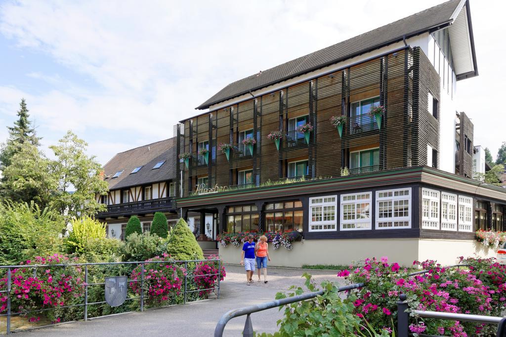 Hirschen Hotel 4*